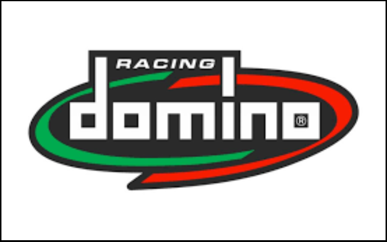 /img/img-brands/35/domino logo.png